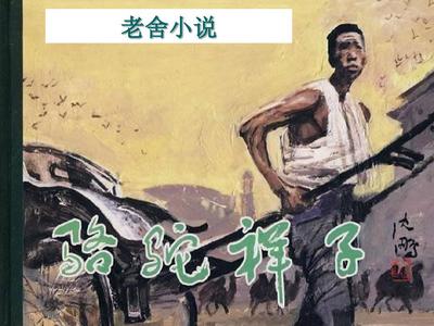 午夜电影在线观看免费无需插件